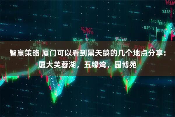 智赢策略 厦门可以看到黑天鹅的几个地点分享：厦大芙蓉湖，五缘湾，园博苑