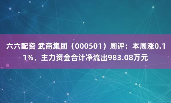 六六配资 武商集团（000501）周评：本周涨0.11%，主力资金合计净流出983.08万元