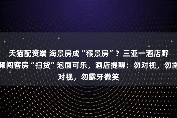 天猫配资端 海景房成“猴景房”？三亚一酒店野生猕猴频闯客房“扫货”泡面可乐，酒店提醒：勿对视，勿露牙微笑