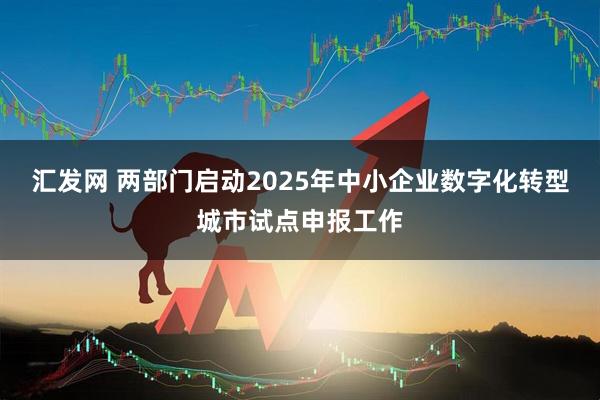 汇发网 两部门启动2025年中小企业数字化转型城市试点申报工作